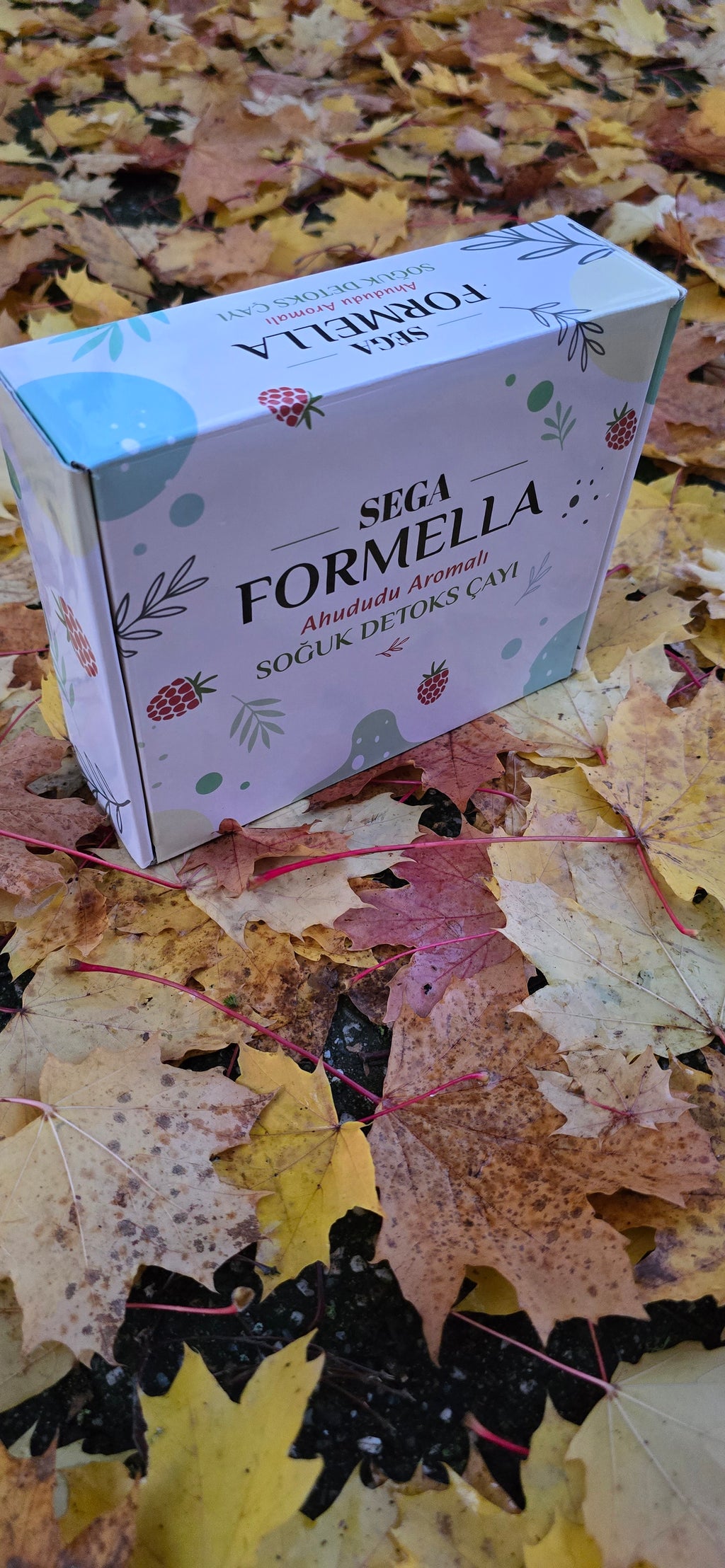 Herbst ist da
